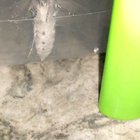 Evil moth