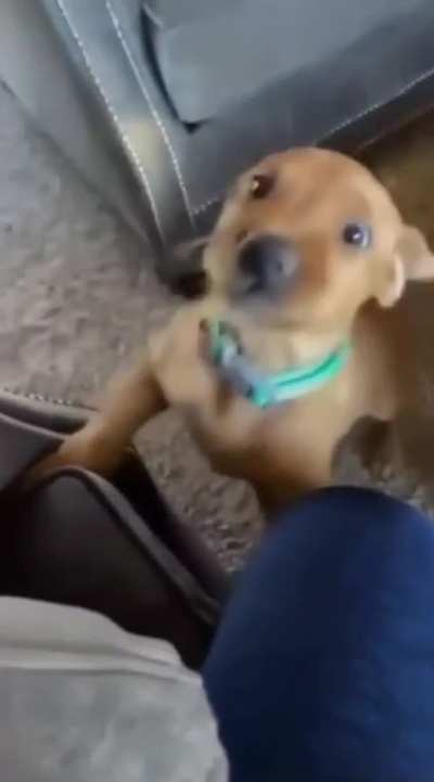 Must Nibble