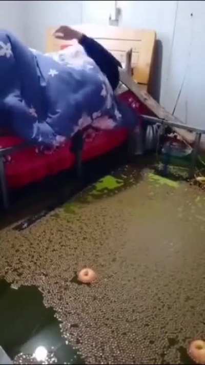 Waking up on the wrong side of the bed