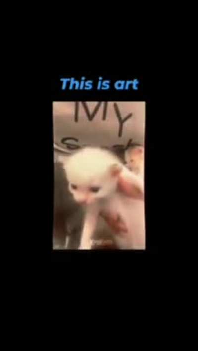 To name the cat