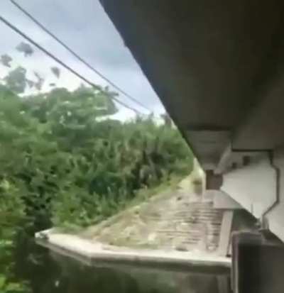 Oop