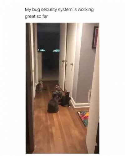 Bug security system works Fine!