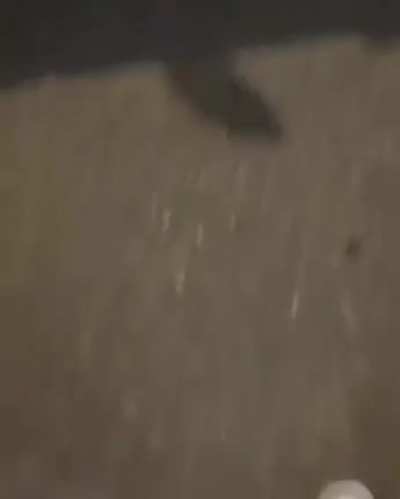 an