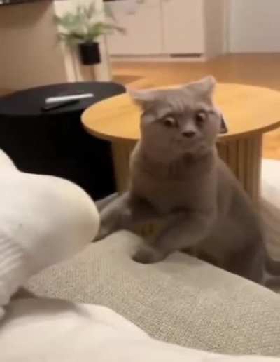 Stinky socks 🤣