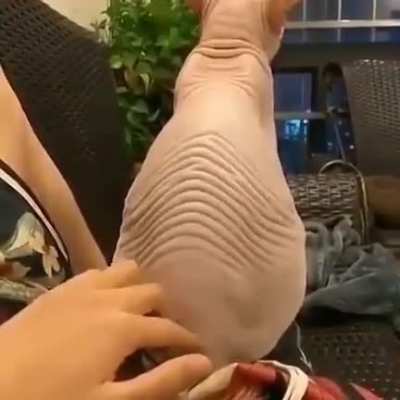 What happens when you scratch that special spot