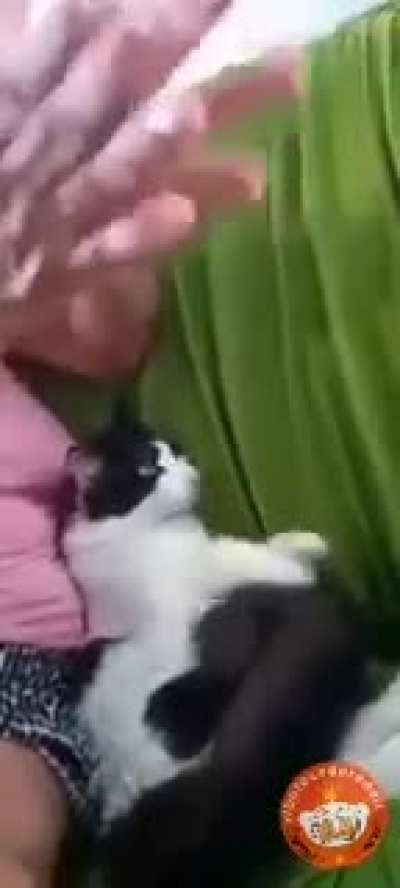 👏👏👏