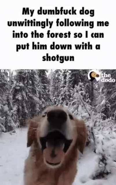 rule