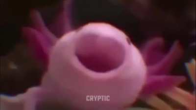 Saw some Mr. Blue sky videos, so here is the combination