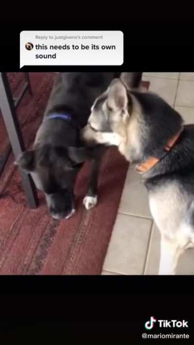Boop.
