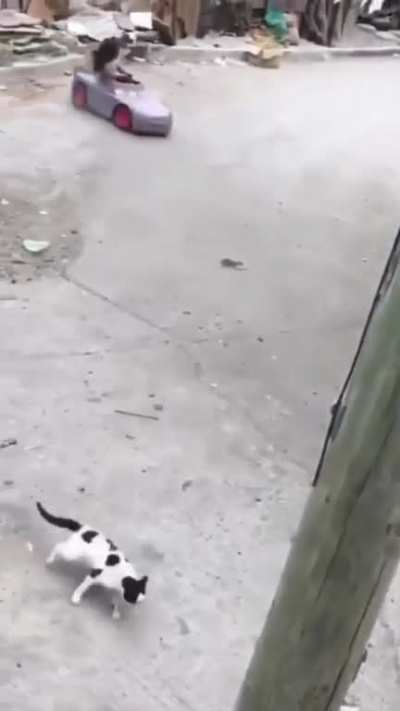 8 lives left
