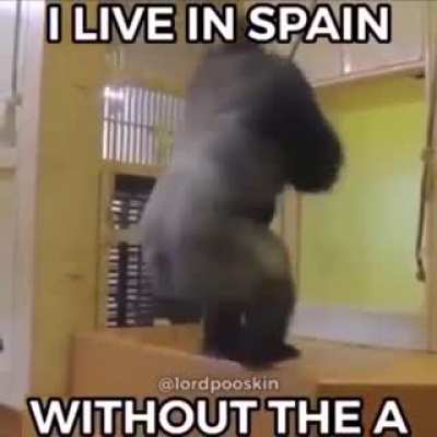 El admin 😔