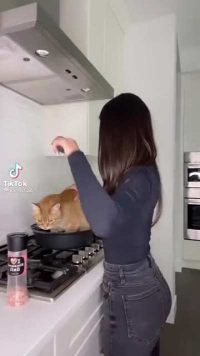 Wait, why are you seasoning me?