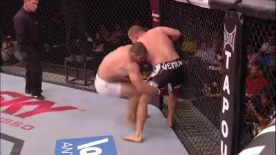 The beautiful leglock entries and brutal heelhooks of BJJ expert and crazy person 