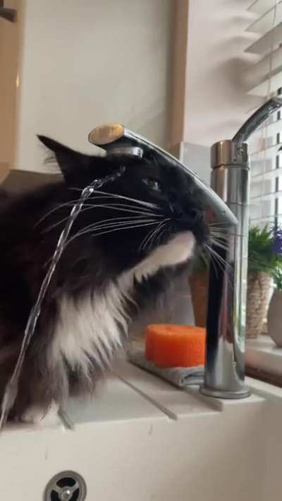 hmm