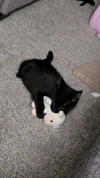 Baby and his lambchop❤️