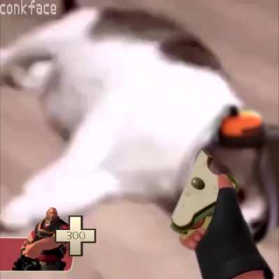Take it, comrade