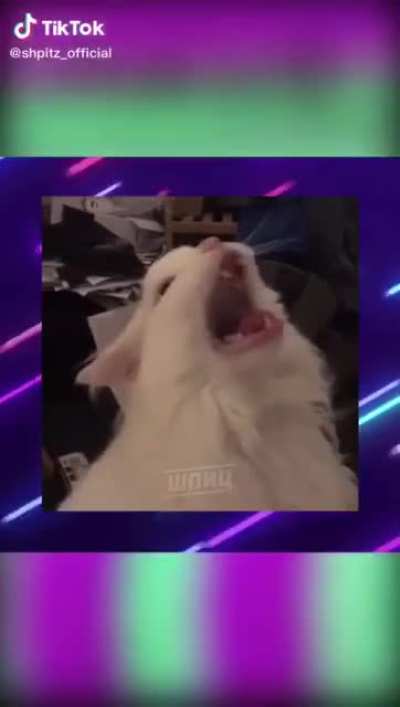 Haha much funny