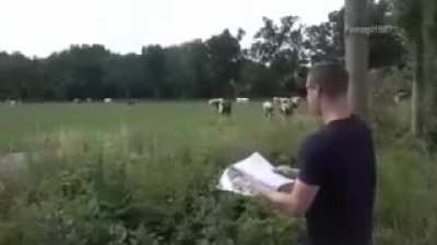 Cowmunicator