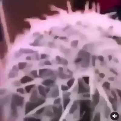 Aaaaa