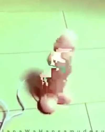 memeconvention - Video #6810