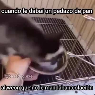 No faltaba el weon que se metía a tu mochila