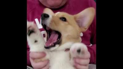 Flailing toe beans!