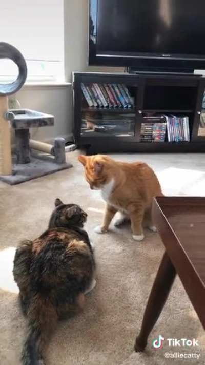 Winston craves violence.