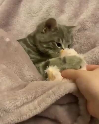 Night Night