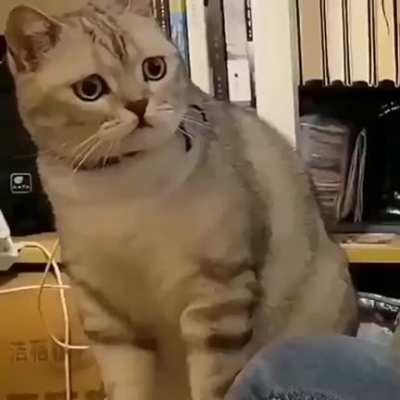 Older siblings watching their younger siblings getting treated with patience, kindness, and respect