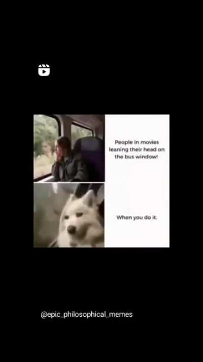 ;(