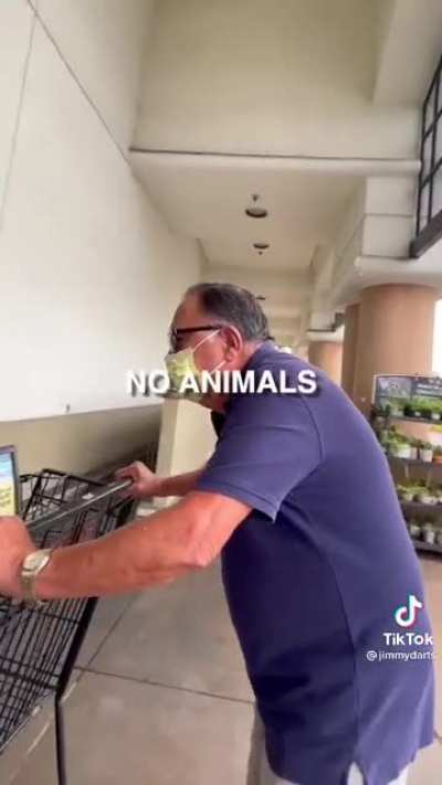 Im sorry your hamster passed away