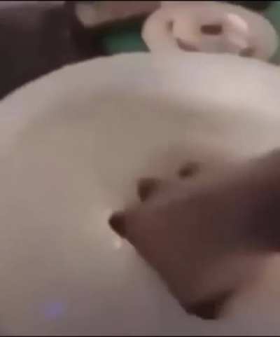 Mayonnaise