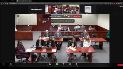 Court gets thugged on zoom