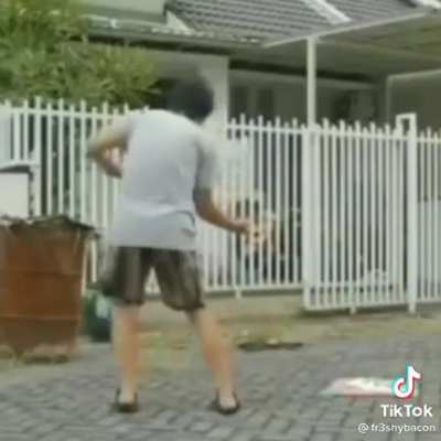 Crazy sarangola