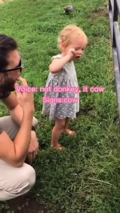 Toddler being unnecessarily frustrated