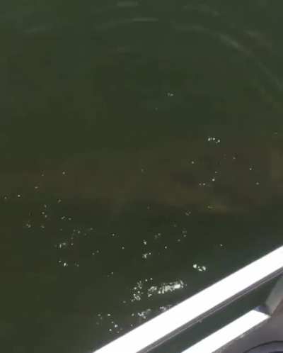 Always test the water before swimming