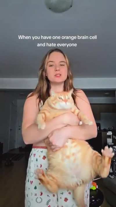Living up to the Garfield name 😂