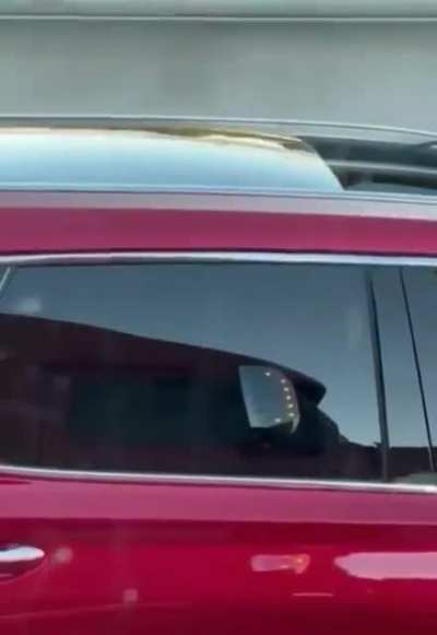There are no traffic laws against this right?