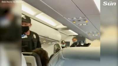 Karen doesn't want to wear a mask mid-flight, what did you expect?