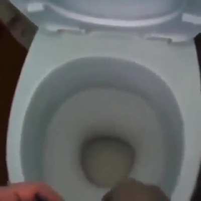 pee