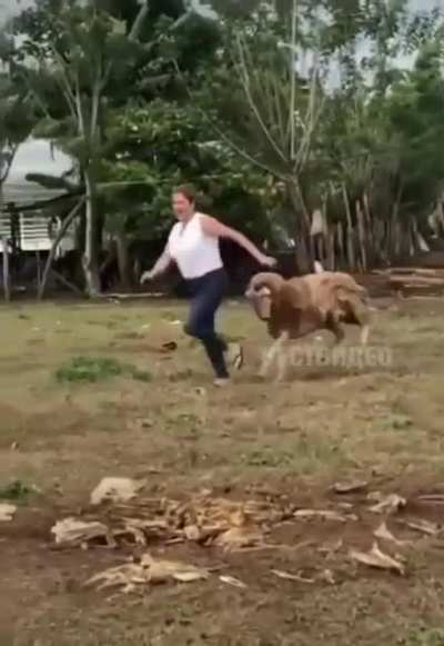 Vazou o vídeo da agressão a Joice Hasselmann