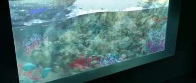 Aquariums are awesome!