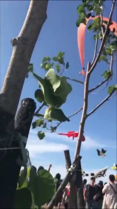 To fly a kite