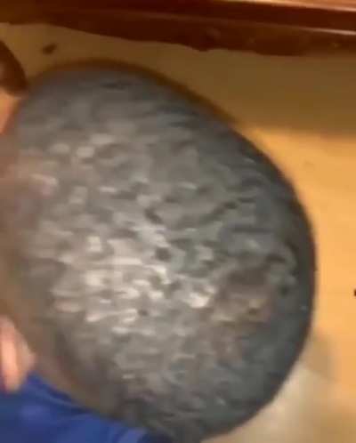 Gotta go bald