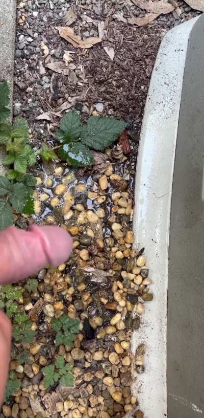 My Poor Little Bush - (Part 1/2)