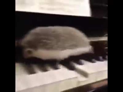 *-*