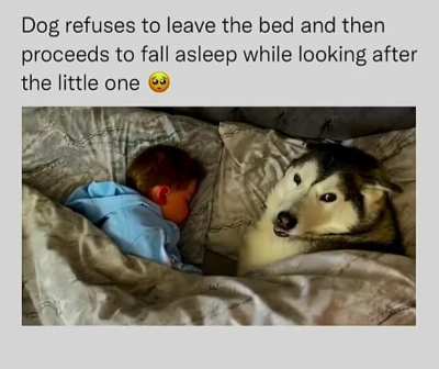 Just wholesome