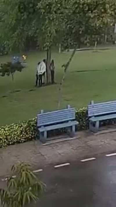 So this is why you don't stand under a tree during a lightning storm