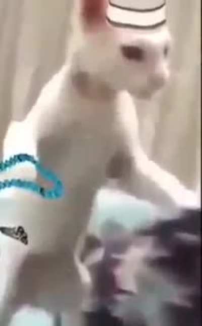 Eid Mubarak