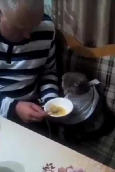 I need to know how he achieved this
